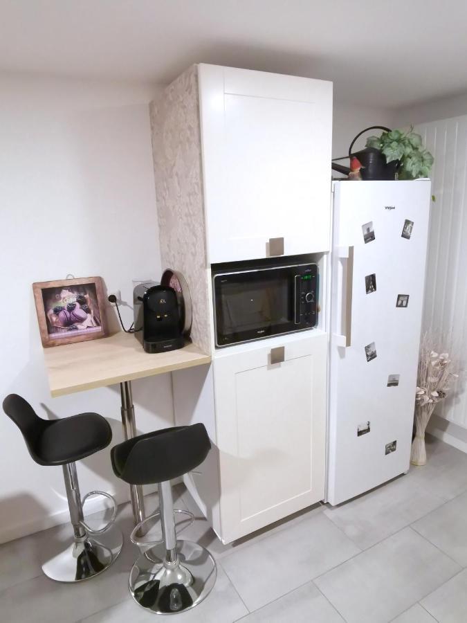 Agréable logis au calme avec jardin entre PARIS et EURODISNEY Rosny-sous-Bois Esterno foto